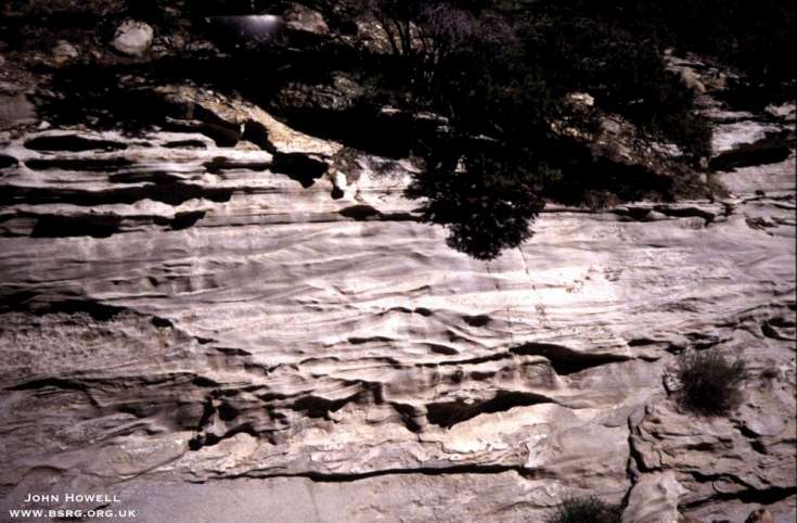 Trough cross-bedded, upper shoreface and low angle, planar cross stratified foreshore deposits. Book Cliffs Eastern Utah.