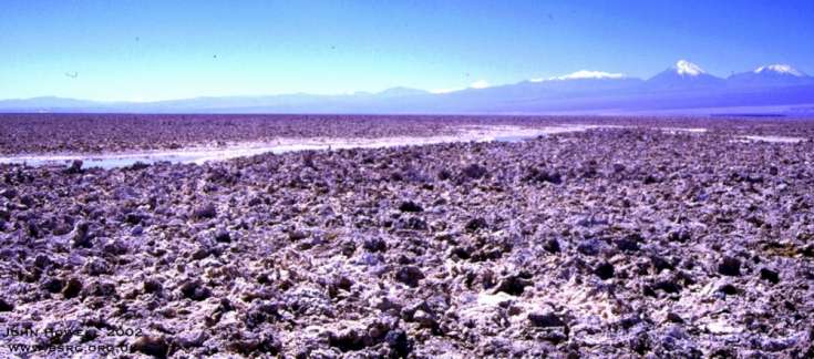 Texture on a modern day salt flat. Recent evaporite deposits. The Salar de Atacama Chile.