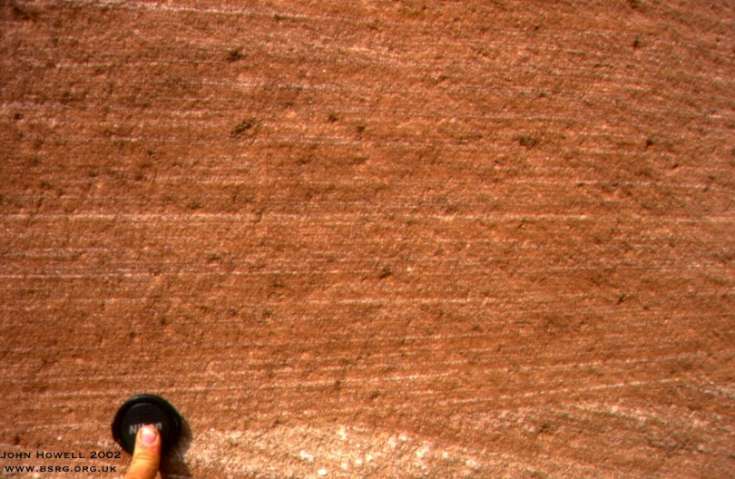 Wind rippled sandstone. Cretaceous of Namibia.