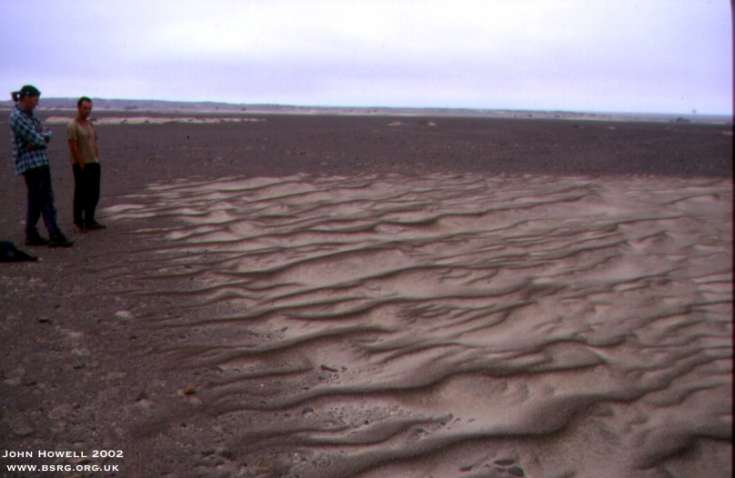 Modern day wind-blown granule ripples on a sediment starved deflation plain.