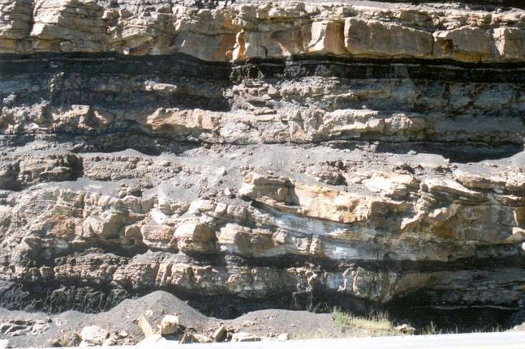 A typical coal bearing succession in the Blackhawk with the larger seams capping marine shoreface para-sequences.